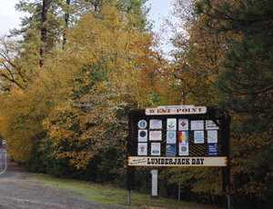 Your Preferred Real Estate in West Point, CA (2)