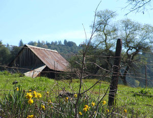 Your Preferred Real Estate in West Point, CA (4)
