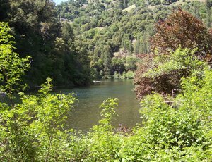 Your Preferred Real Estate in West Point, CA (6)