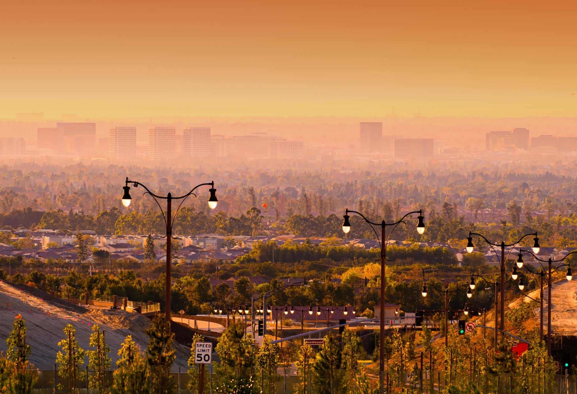 Debbie Marie l Principal @WaveCrest Real Estate in Irvine, CA