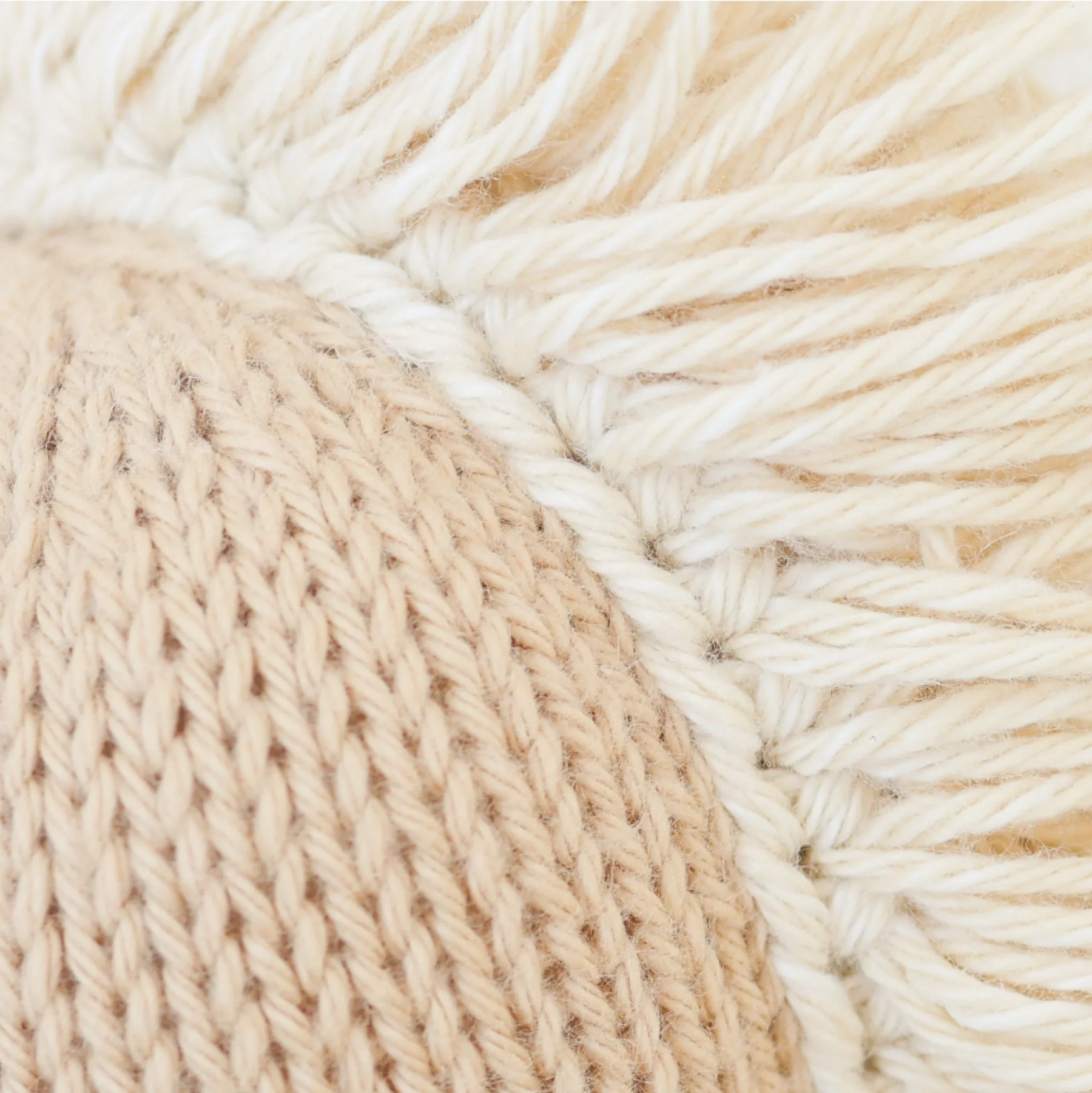 BlackBear Children's Boutique in Shorewood, WI (2)