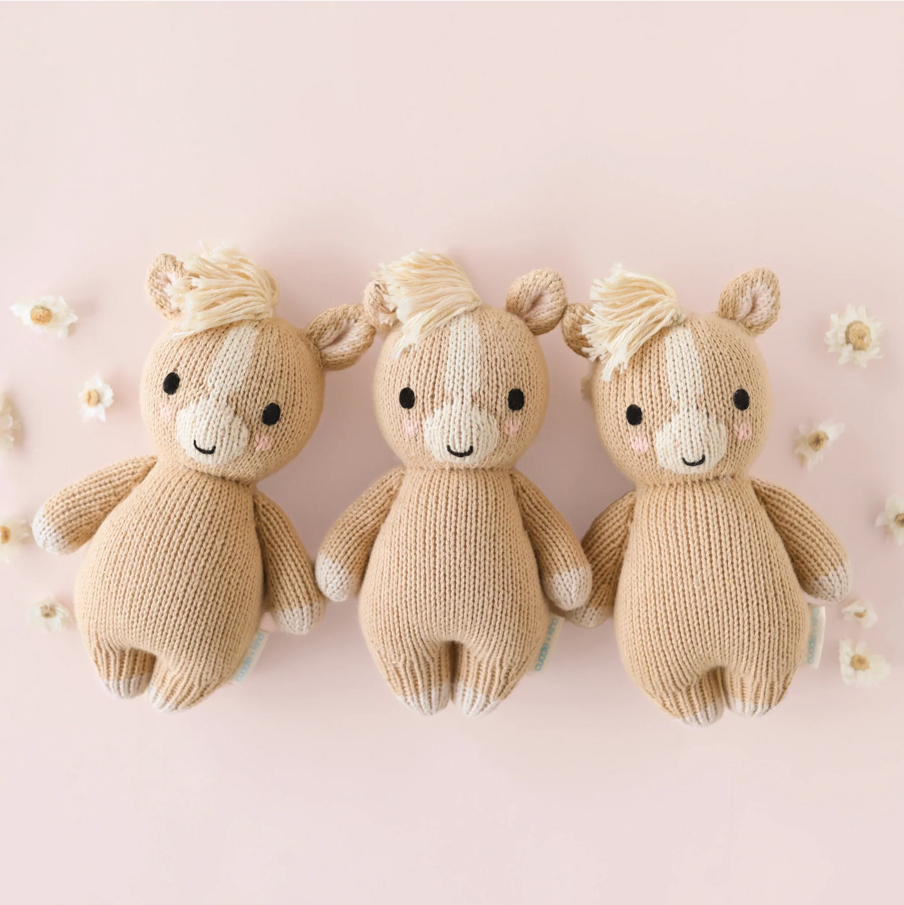 BlackBear Children's Boutique in Shorewood, WI (5)
