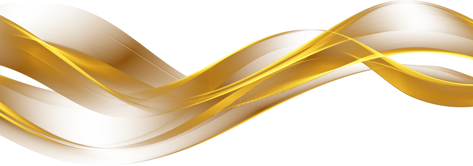 Diligently Noted: Mobile Notary Services in High Point, NC (3)