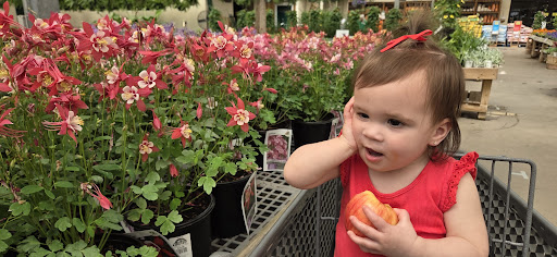 Trax Farm Market in Finleyville, PA