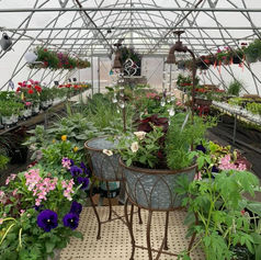 Marinette Farm & Garden and Pets too in Marinette, WI (4)