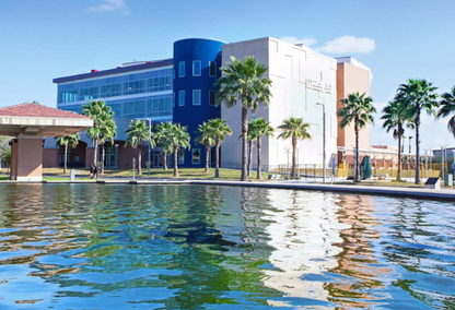 B.I.C. Realty Co. in Edinburg, TX (2)