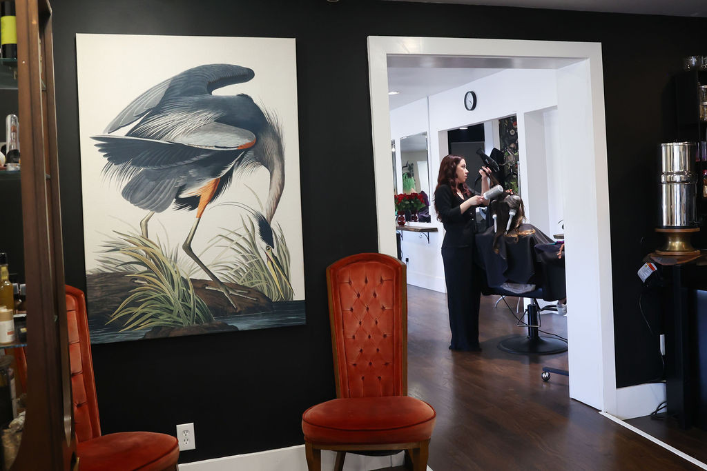 Rare Byrd Salon in Walnut Creek, CA (2)
