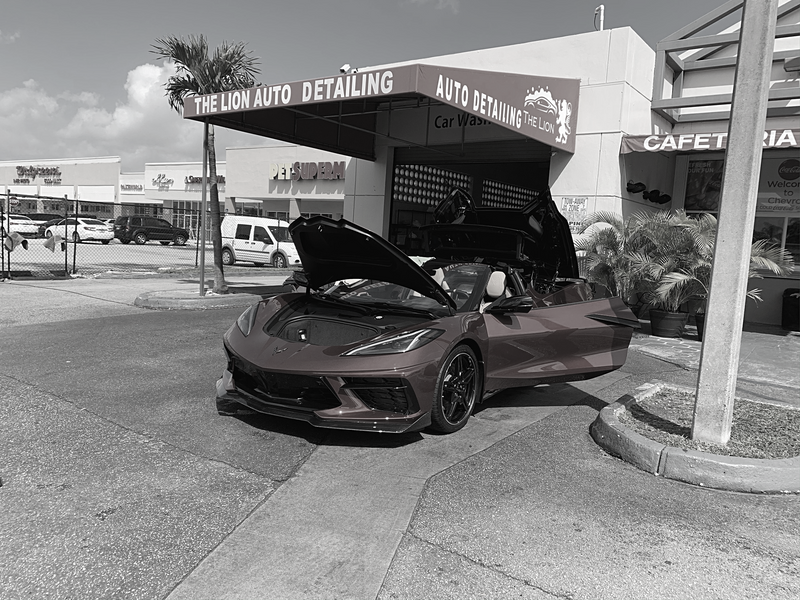 The Lion Auto Detailing in Miami, FL (2)