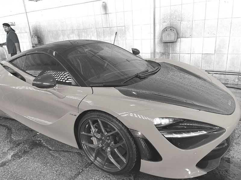 The Lion Auto Detailing in Miami, FL (4)