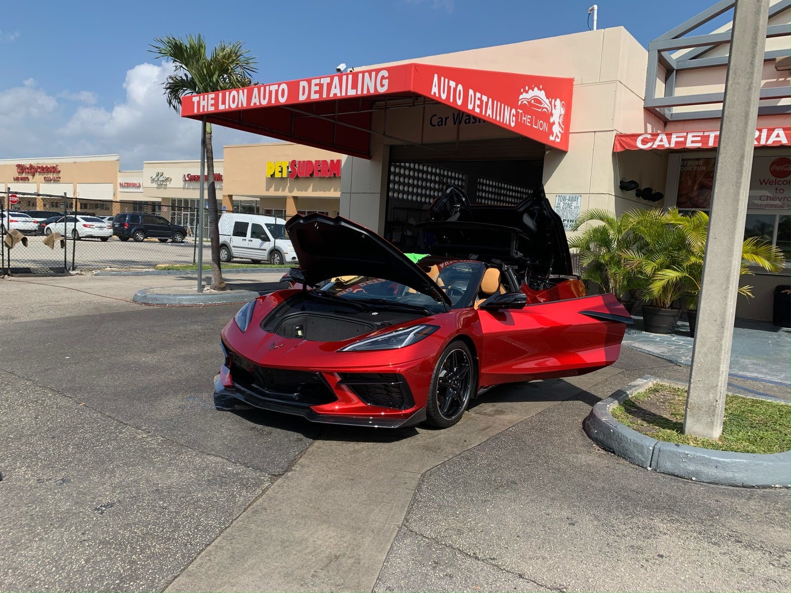 The Lion Auto Detailing in Miami, FL (6)