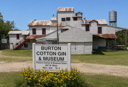Connie Burch - Realtor in Round Top, TX (2)