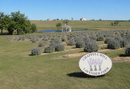Connie Burch - Realtor in Round Top, TX (3)