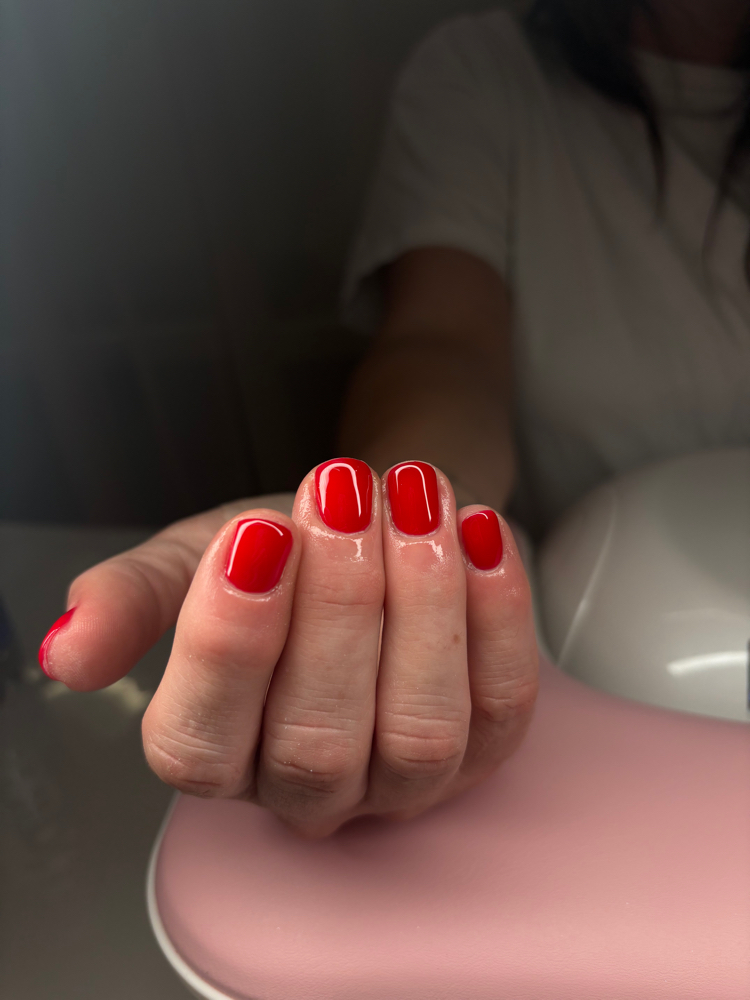 Pink Parrot Beauty LLC in Menomonee Falls, WI (5)