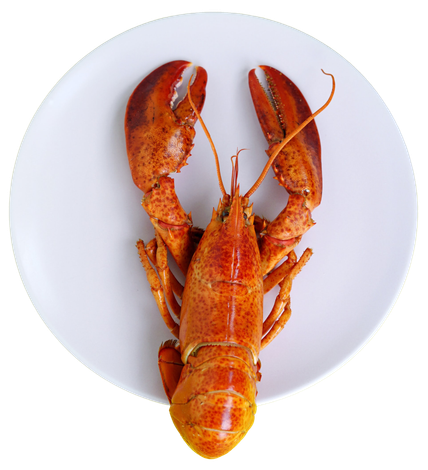 BayLobsters Café & Fish Market in Wooster, OH