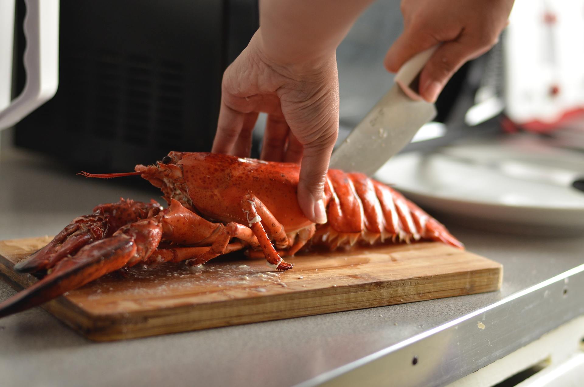 BayLobsters Café & Fish Market in Wooster, OH (3)