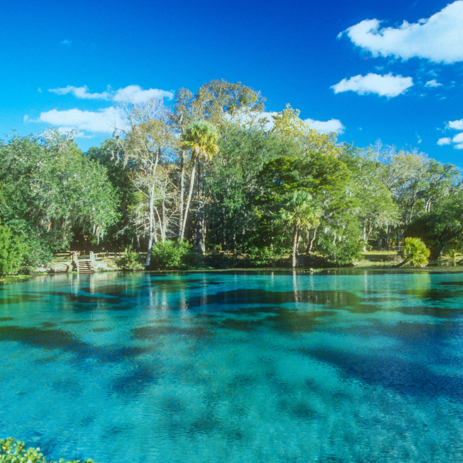 Citrus Realty - Donna Dorsey in Citrus Springs, FL