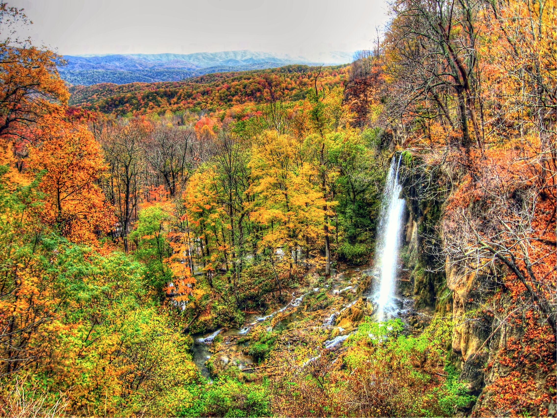 Virginia Real Estate in Covington, VA (2)
