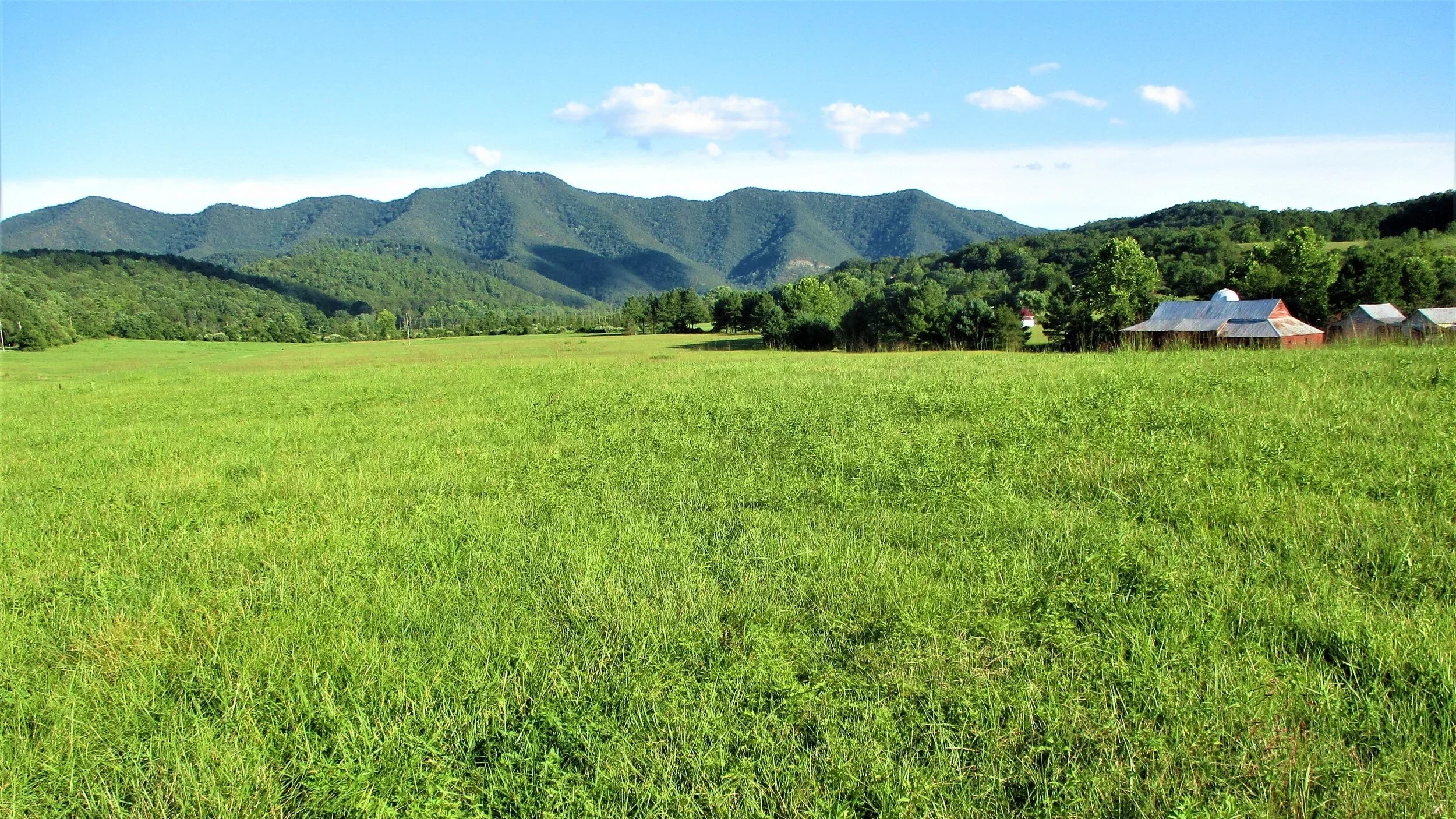 Virginia Real Estate in Covington, VA (4)