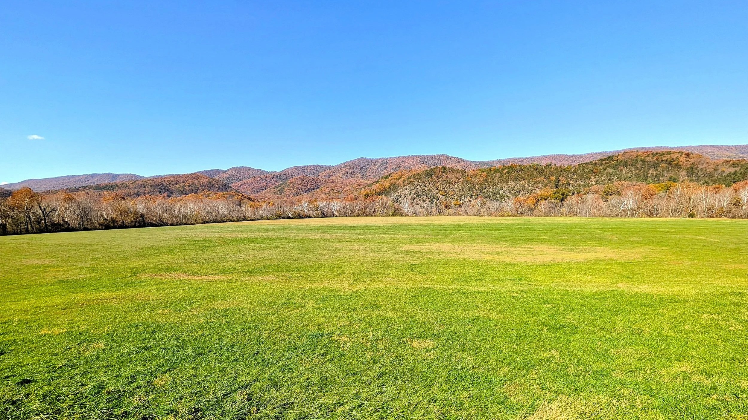 Virginia Real Estate in Covington, VA (5)