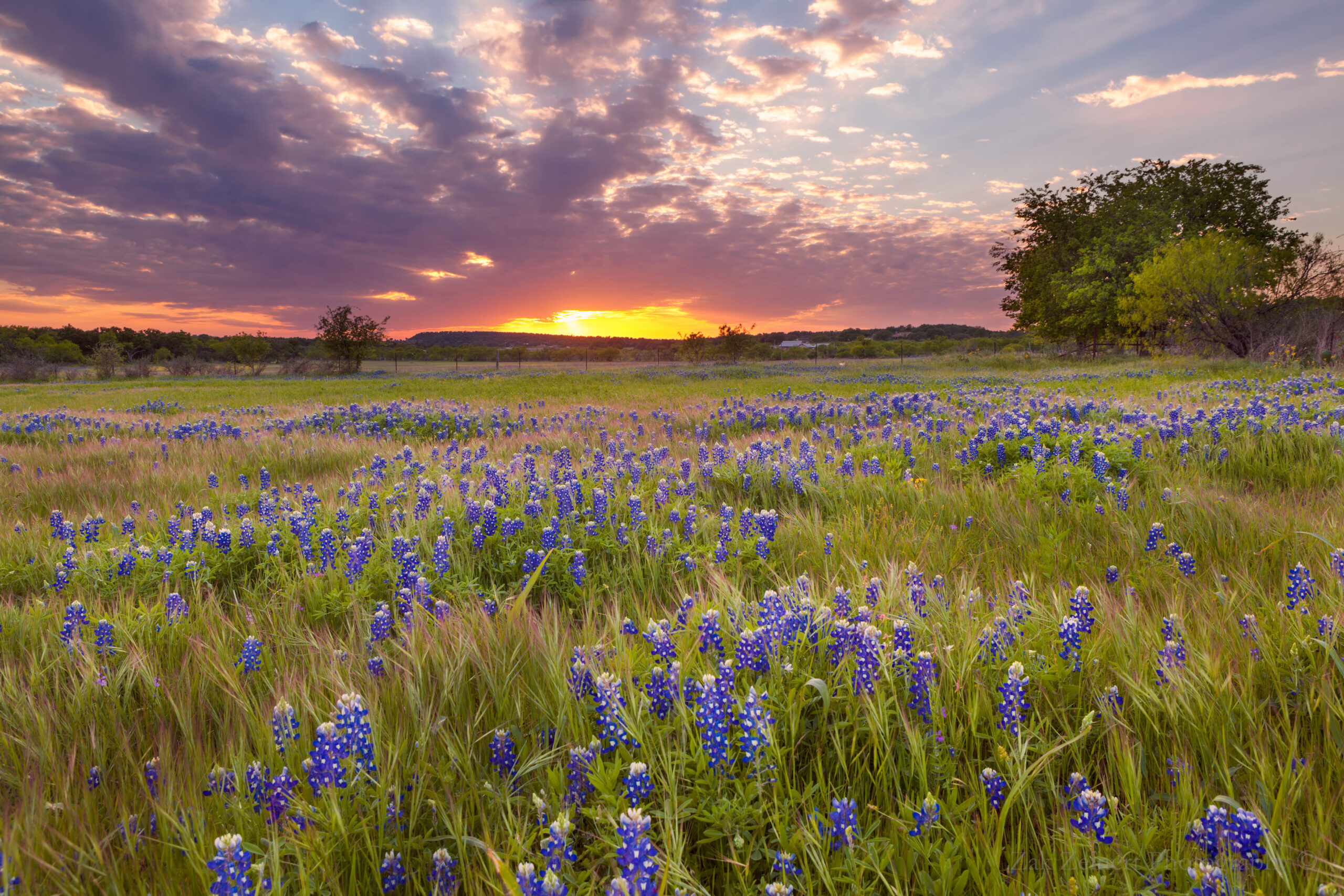 Superior Land & Homes in Nocona, TX
