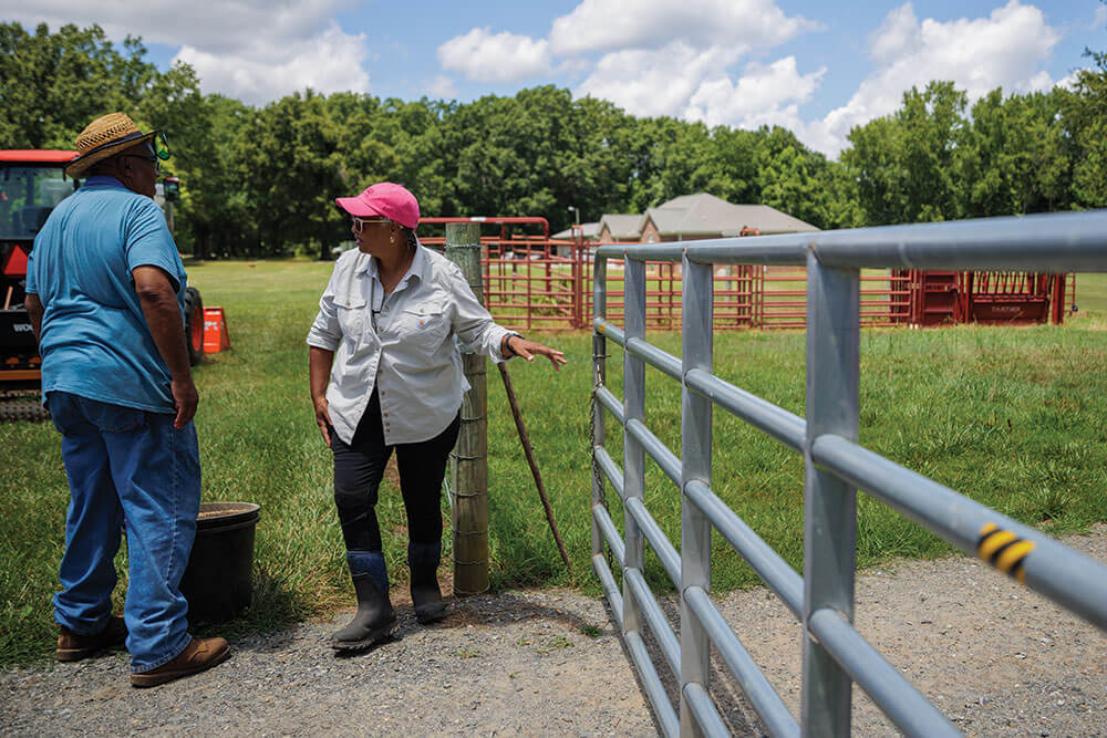 Blackwell's Farm in Reidsville, NC (2)