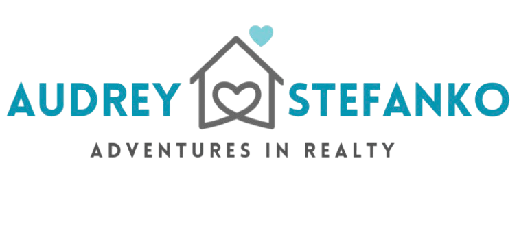 Audrey Stefanko - Realty, Brokered by National Realty Centers - Northville, MI in Northville, MI (3)