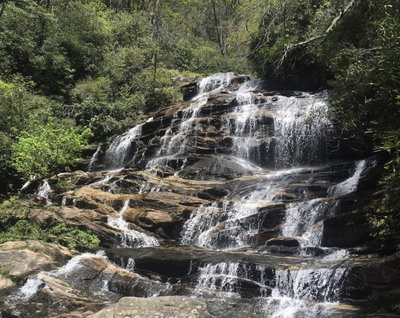 Highlands Cove Realty in Highlands, NC (3)
