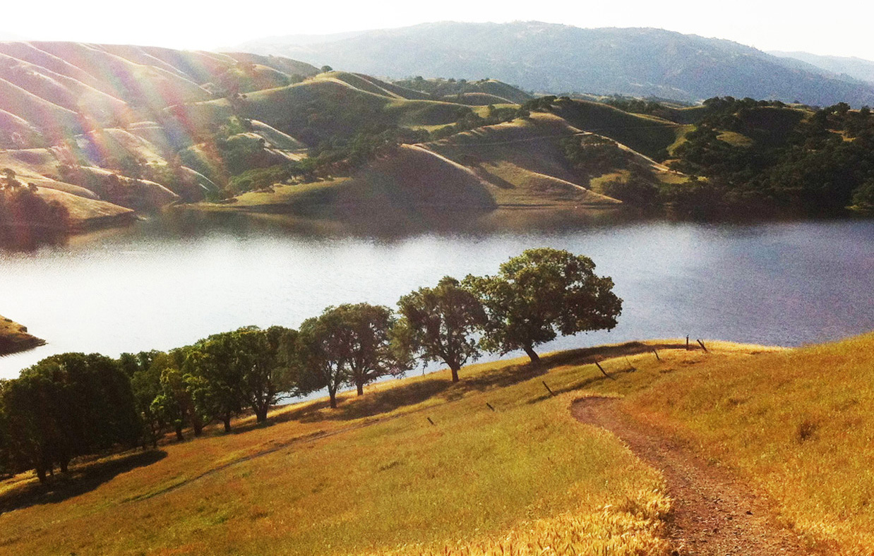 Horning Audrey M CPA in Livermore, CA