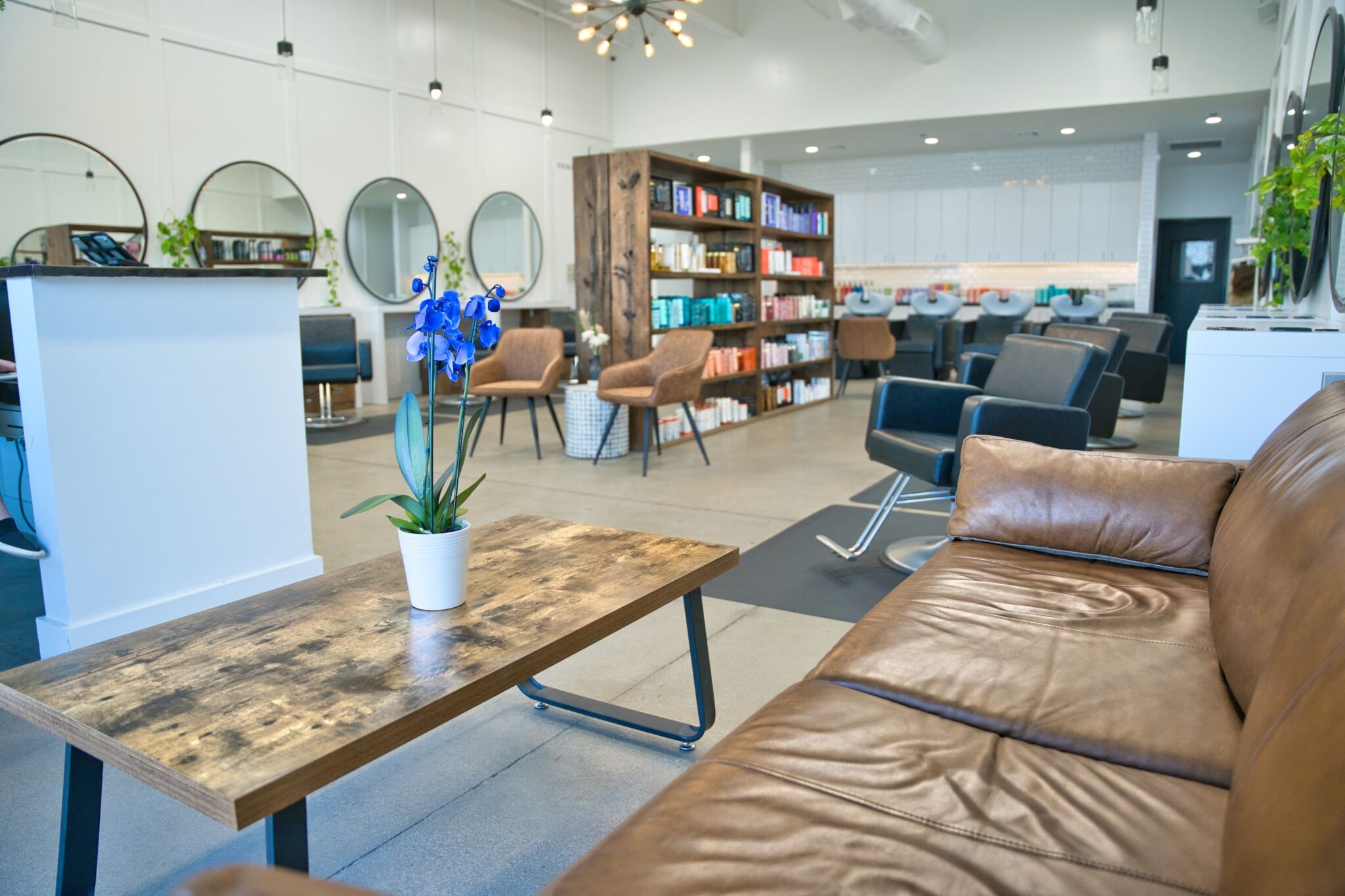 David Ryan Salon in Trophy Club, TX (4)