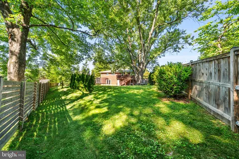 Eva Davis, Your P&rtners at Compass Real Estate in Chevy Chase, MD (2)