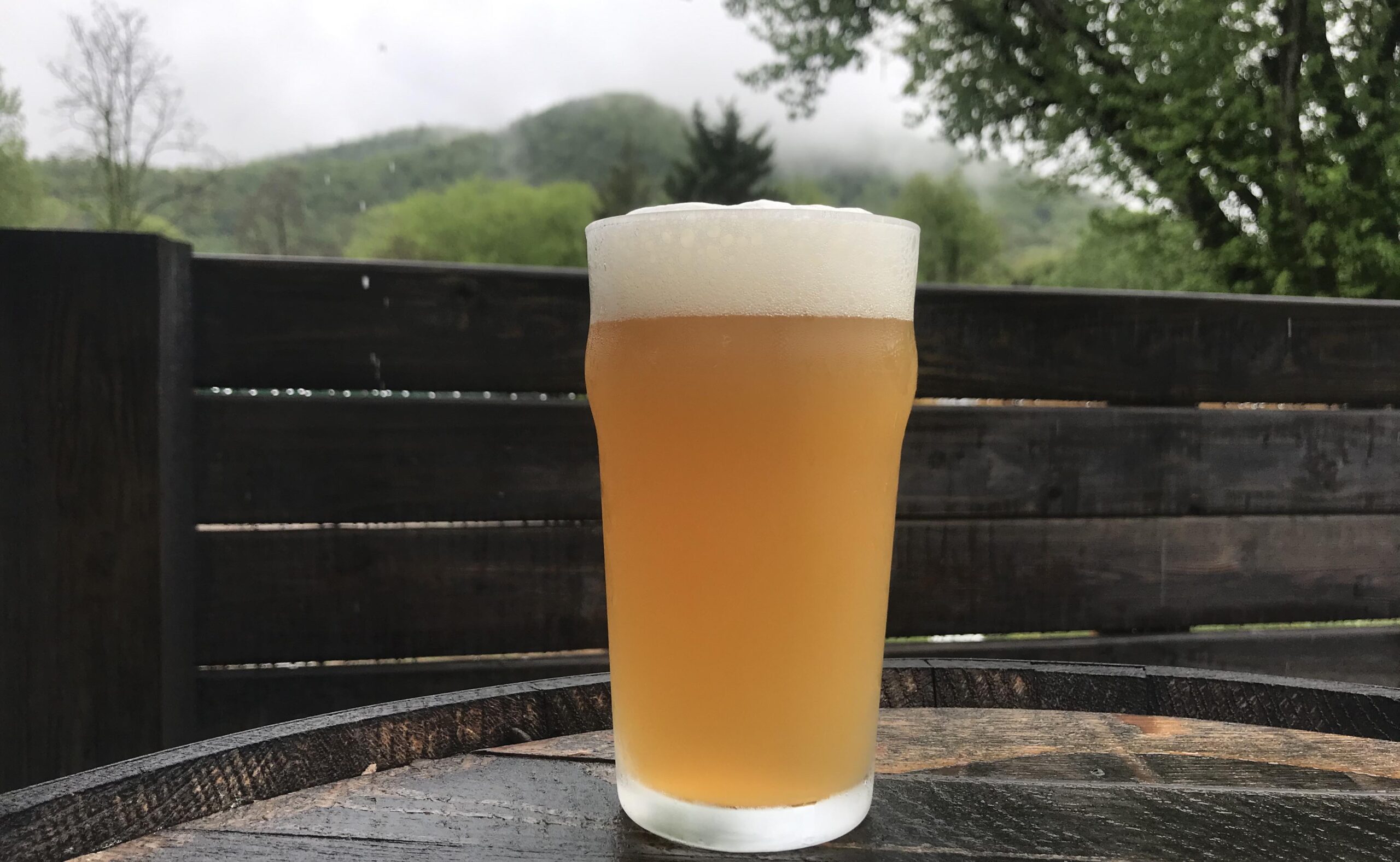 Big Pillow Brewing in Hot Springs, NC (2)