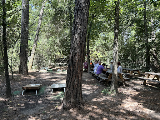 The Treehouse Cafe in Magnolia, TX (6)