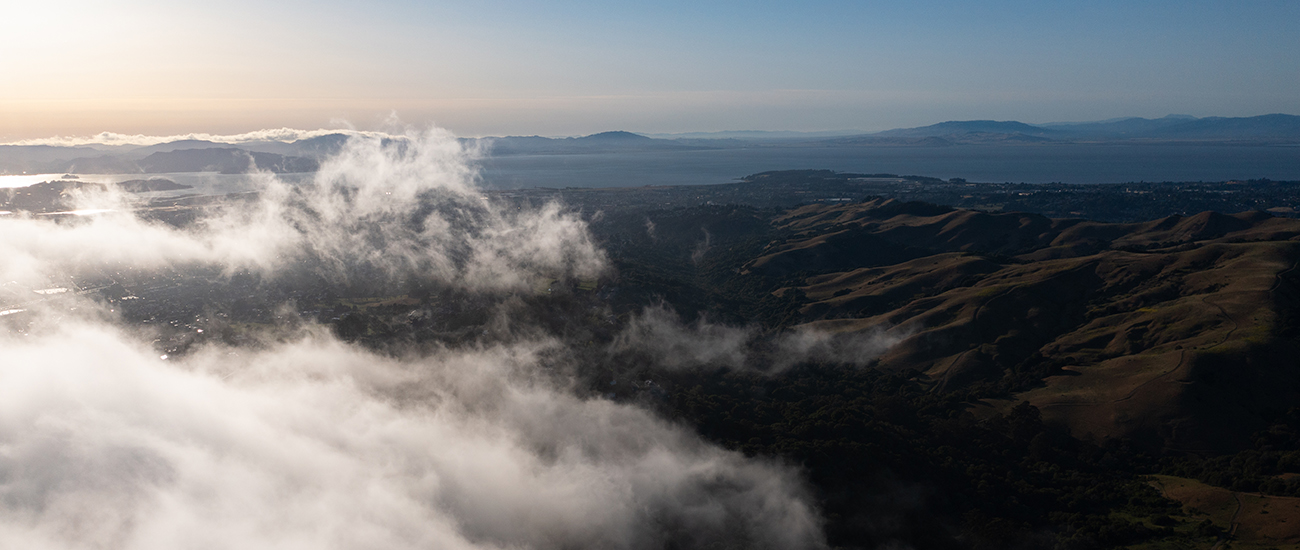 Cirrus Law PC in Pleasanton, CA