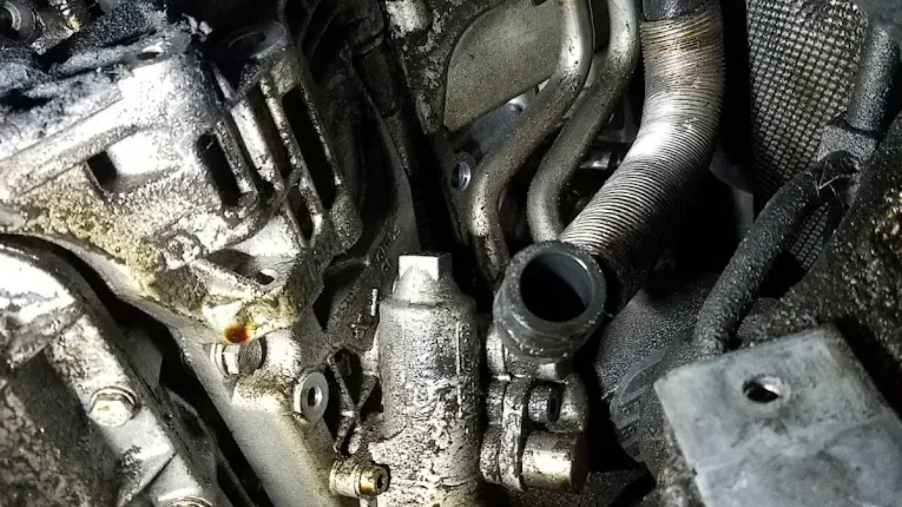German Auto, LLC in Mt Prospect, IL (2)