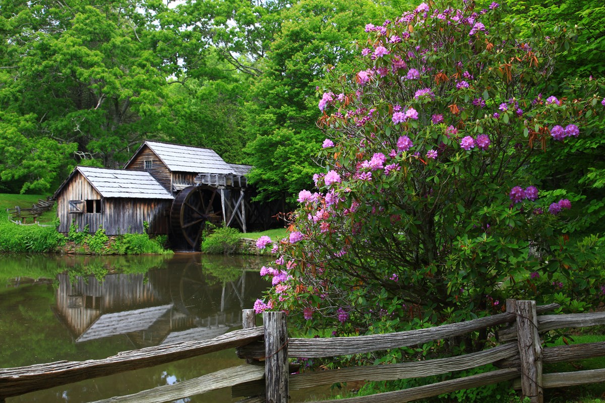 Rocky Knob Recreation Area in Floyd, VA (2)