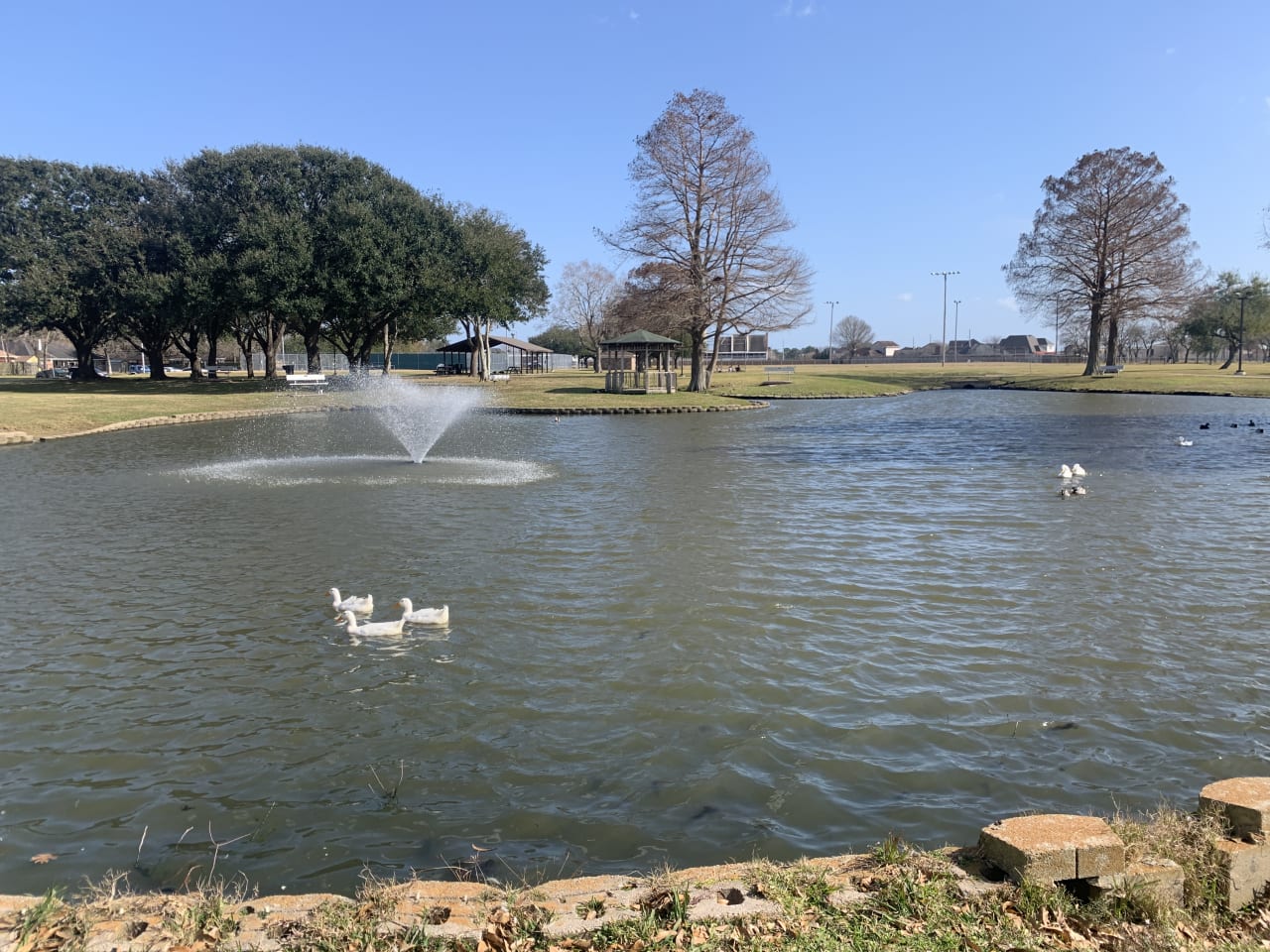 SETX Properties in Nederland, TX (4)