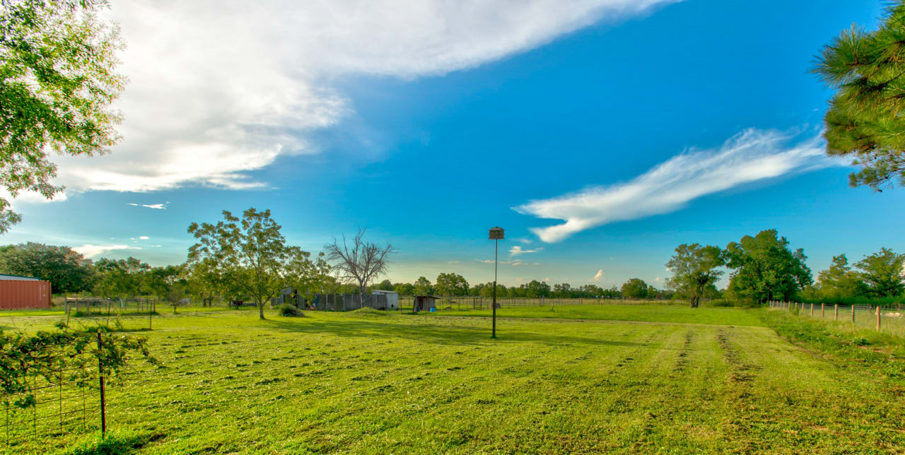 SETX Properties in Nederland, TX (5)