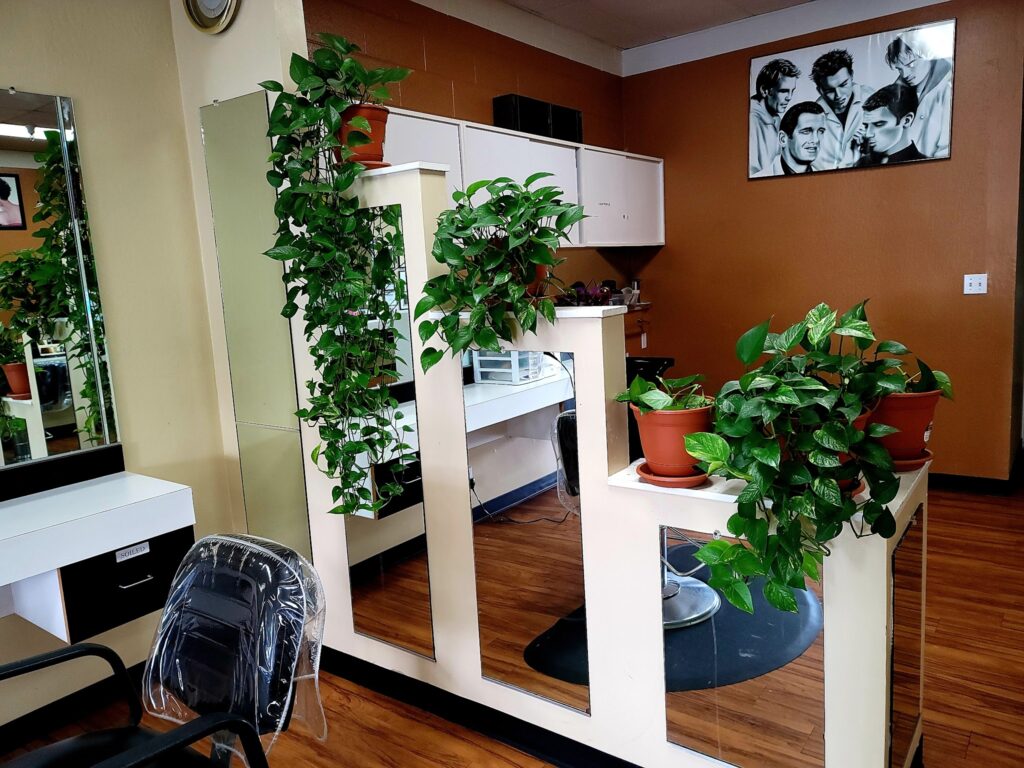 Top Hair & Beauty Salon in Stockton, CA (2)
