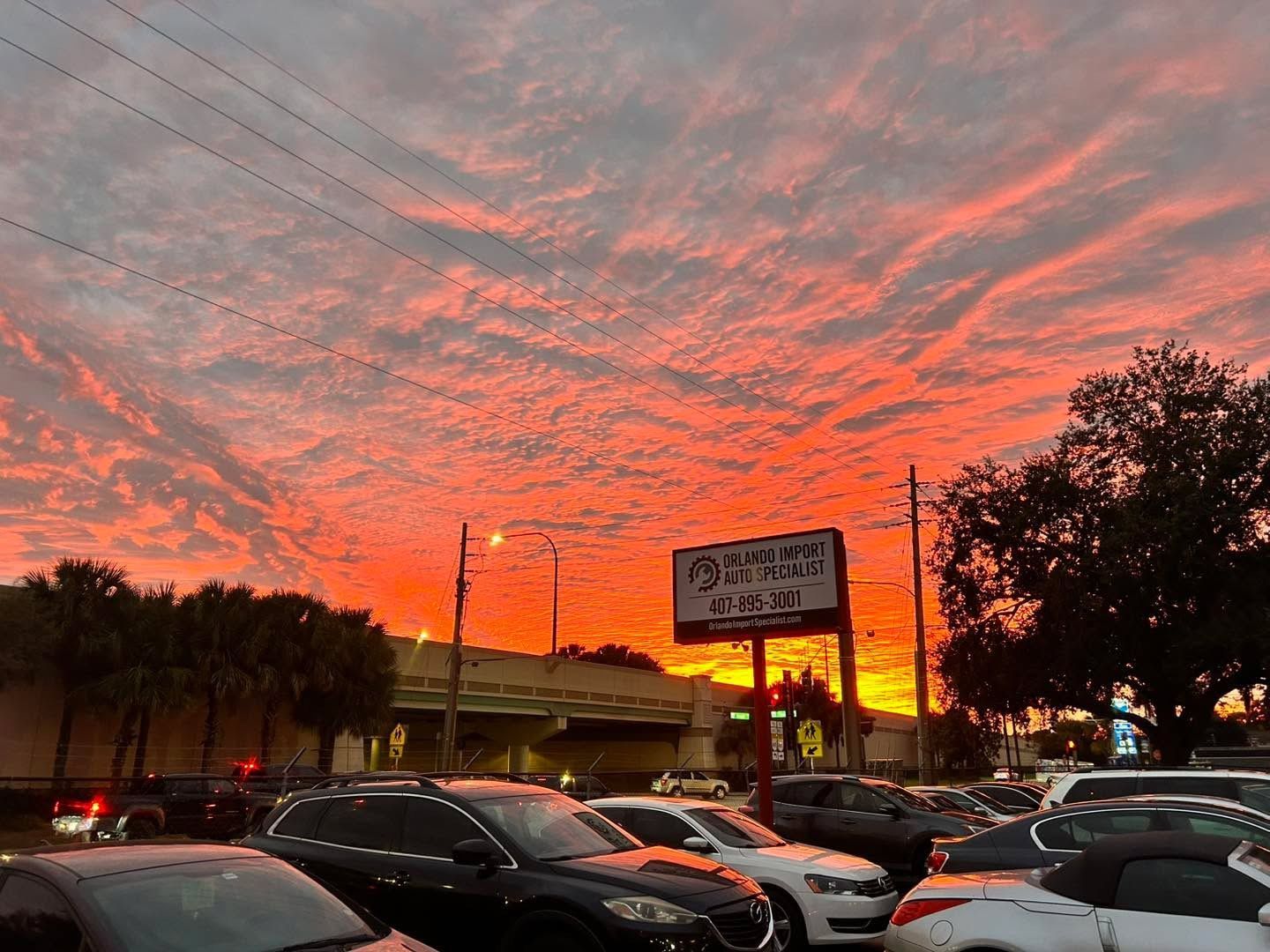 Orlando Import Auto Specialists, Inc. in Orlando, FL (3)
