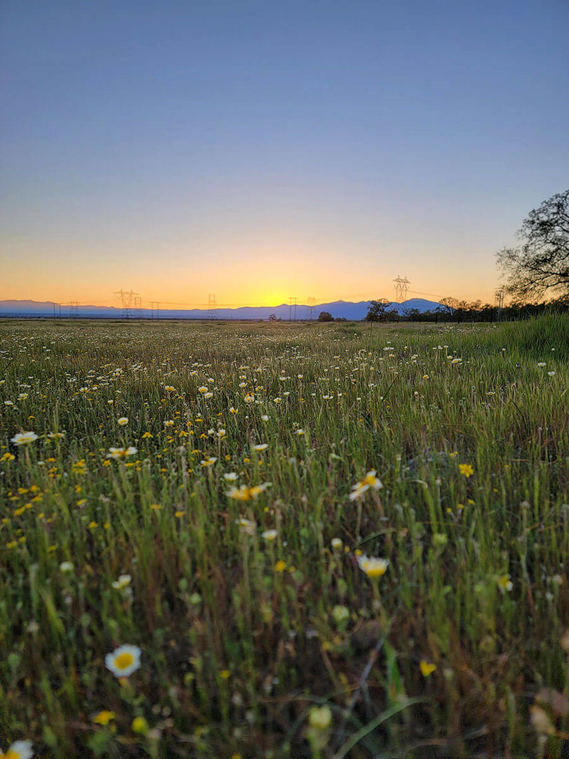 Melanie Wright-REALTOR in Millville, CA (5)