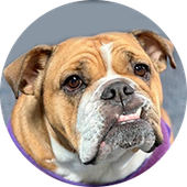 Joe Jimenez Law Offices LLC in Marysville, OH (4)