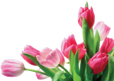 Ultra Nails & Spa in Cedar Hill, TX (3)