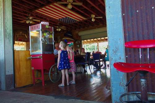 Hillbillyz of Texas in Boerne, TX (6)
