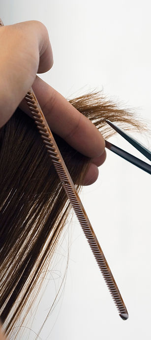Salon Kimistry in Belleville, MI (3)