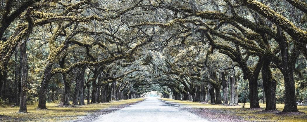 Charles Herman Law in Savannah, GA (4)
