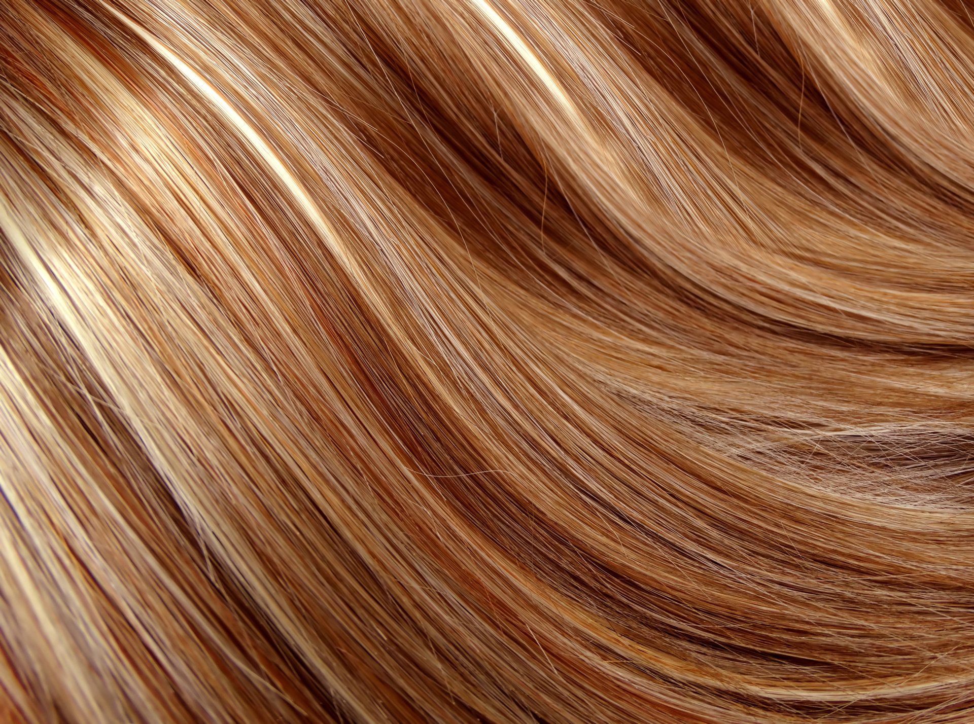 Fa Shears By Aimee in Kennett Square, PA (2)