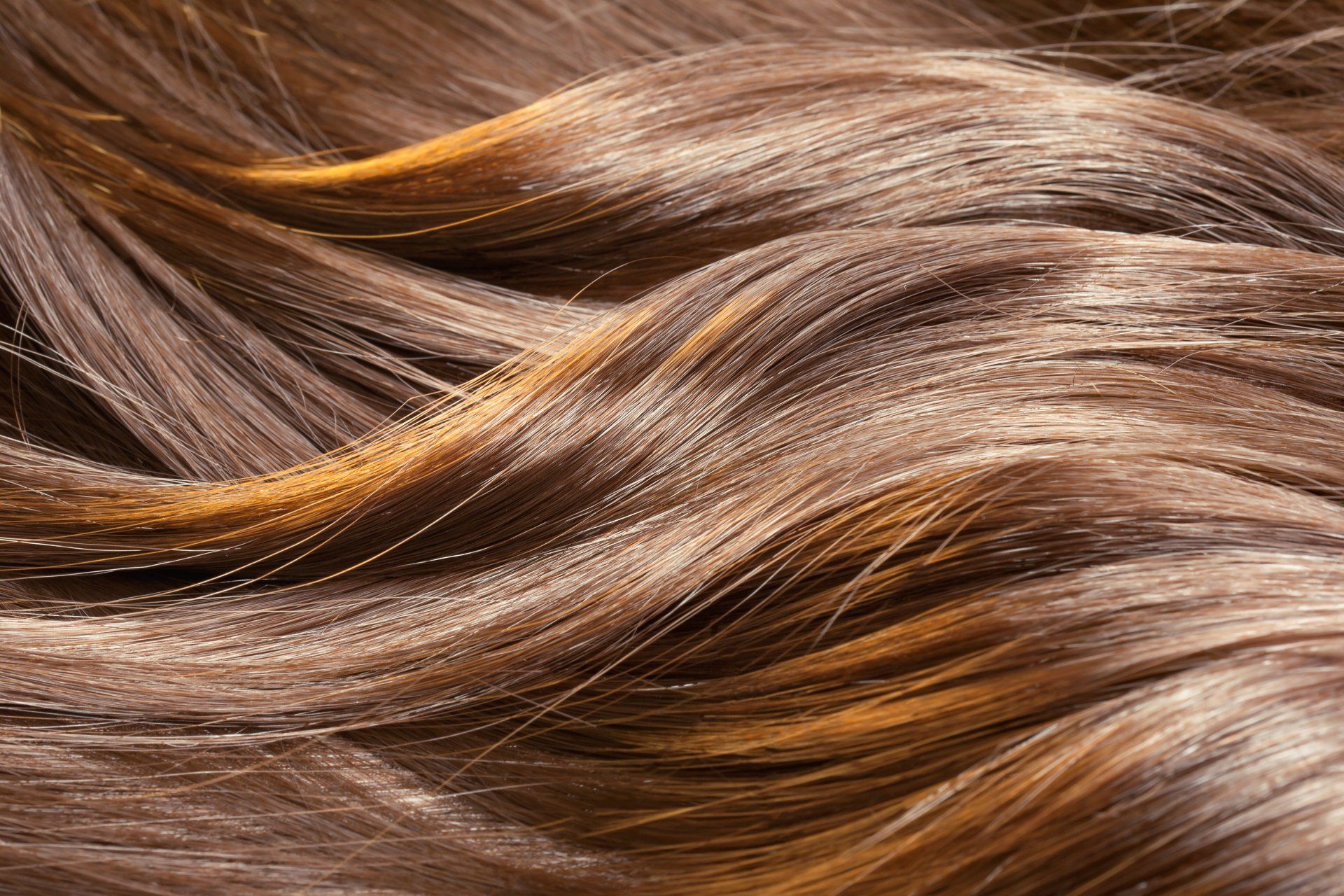 Fa Shears By Aimee in Kennett Square, PA (3)