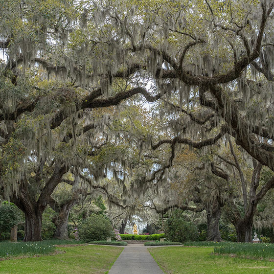 S.H. June & Associates LLC in Conway, SC (3)