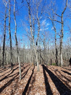 Mountain Aire Realty Inc in East Ellijay, GA (4)