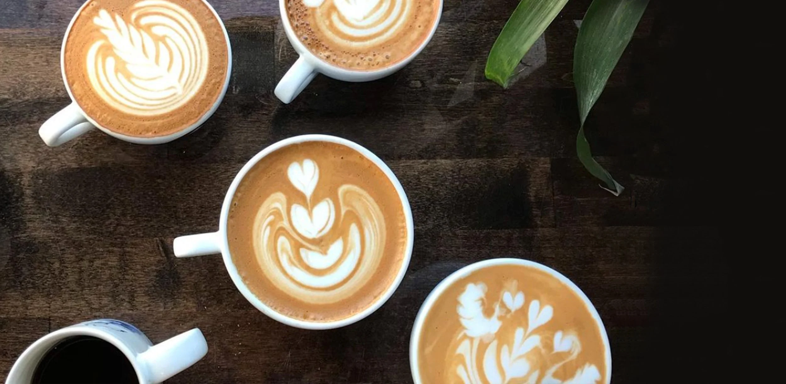 Convive Coffee Roastery in Mars, PA (3)